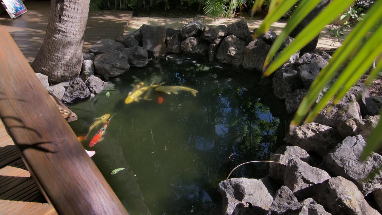 Hotel Coco Island 圣吉尔莱班 外观 照片